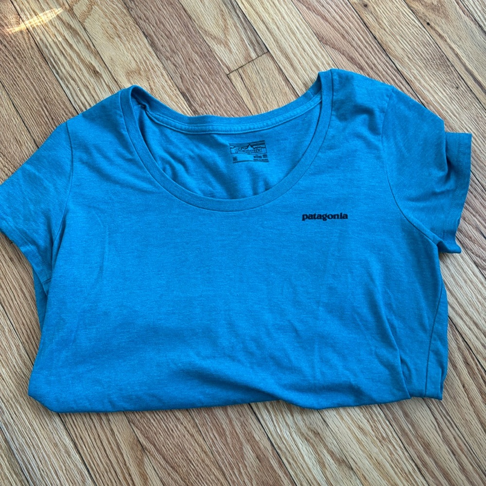 Patagonia tee